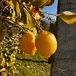Casa Carina Hébergement de vacances *