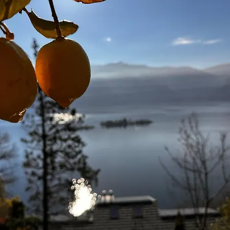 Hébergement de vacances Casa Carina Ronco sopra Ascona
