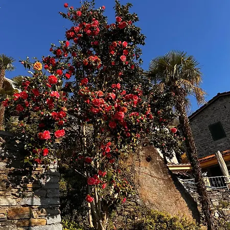 Casa Carina Hébergement de vacances *